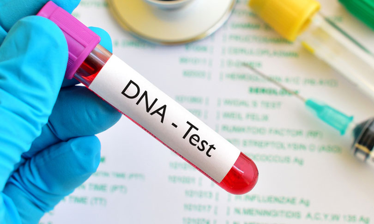 750x450_dna